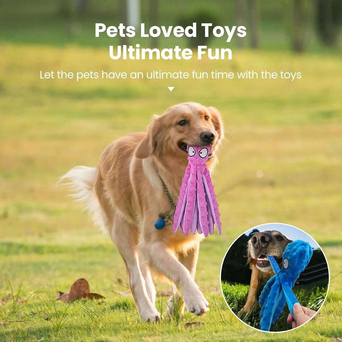 Golden retriever running across grass carrying the pink octopus dog toy, with a smaller dog tugging the blue one.