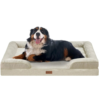 Bernese mountain dog lying on the beige orthopedic dog bed against a white background.