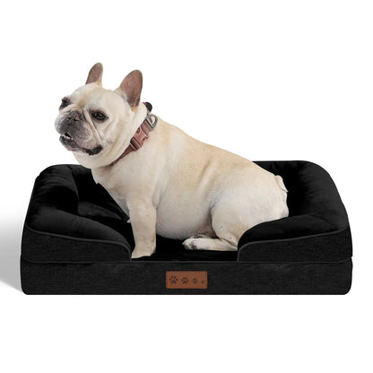 French bulldog sitting on the black orthopedic dog bed against a white background.