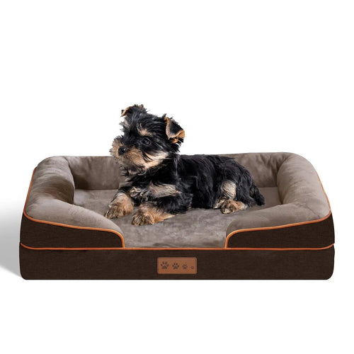 Yorkshire terrier resting on the brown orthopedic dog bed with its raised bolster sides and orange piping.