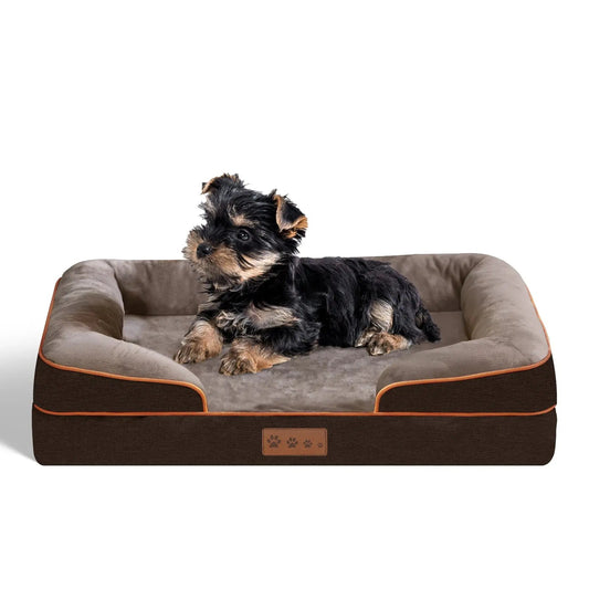 Yorkshire terrier resting on the brown orthopedic dog bed with its raised bolster sides and orange piping.