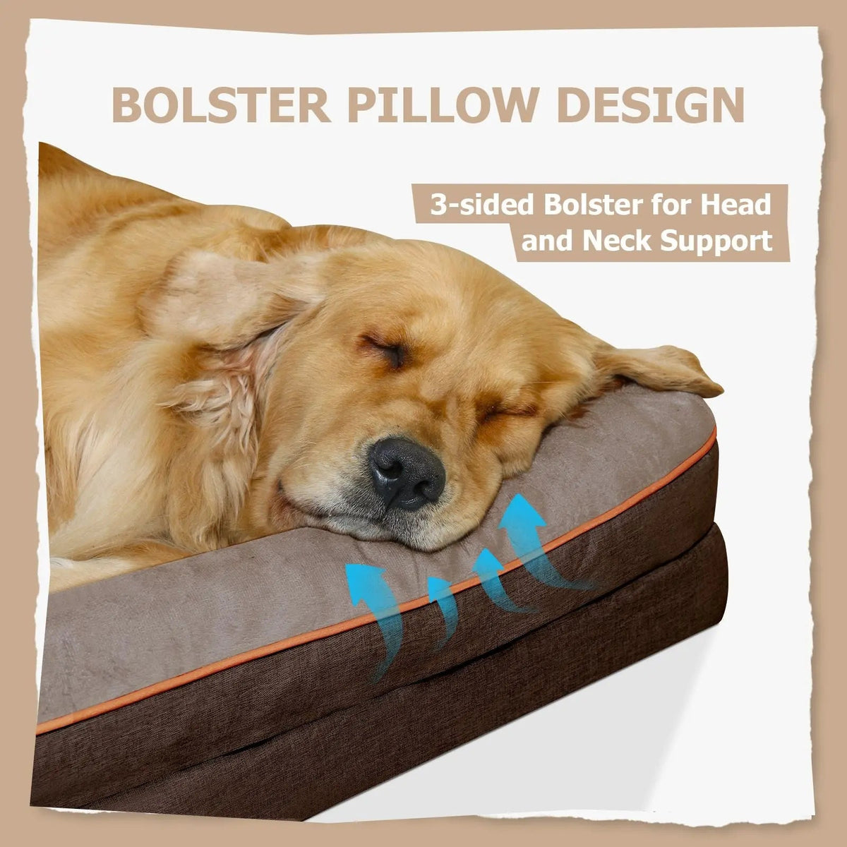 Golden retriever resting its head on the raised bolster of the brown orthopedic dog bed, labeled three-sided bolster for head and neck support.