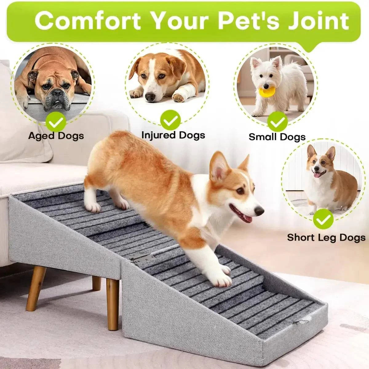 Corgi walking up the ribbed ramp with icons for aged dogs, injured dogs, small dogs and short leg dogs