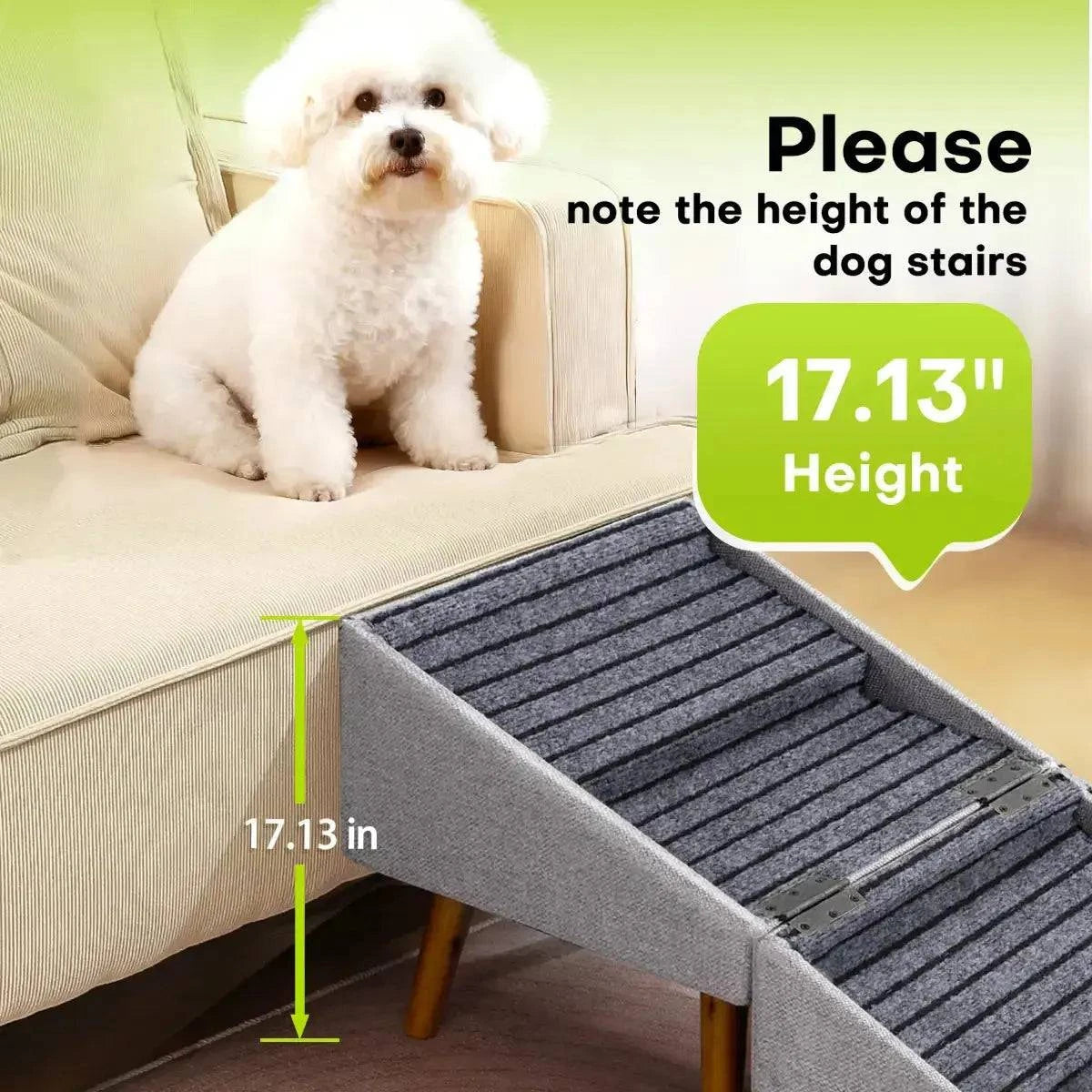 Bichon sitting on a sofa beside the ramp with its height marked, asking buyers to check the height of their furniture