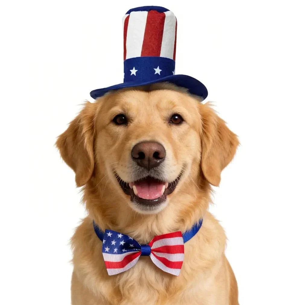 Golden retriever wearing the stars and stripes top hat with the matching American flag bow tie on a white background.