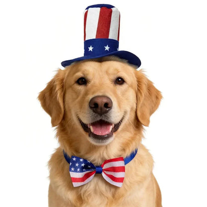 Golden retriever wearing the stars and stripes top hat with the matching American flag bow tie on a white background.