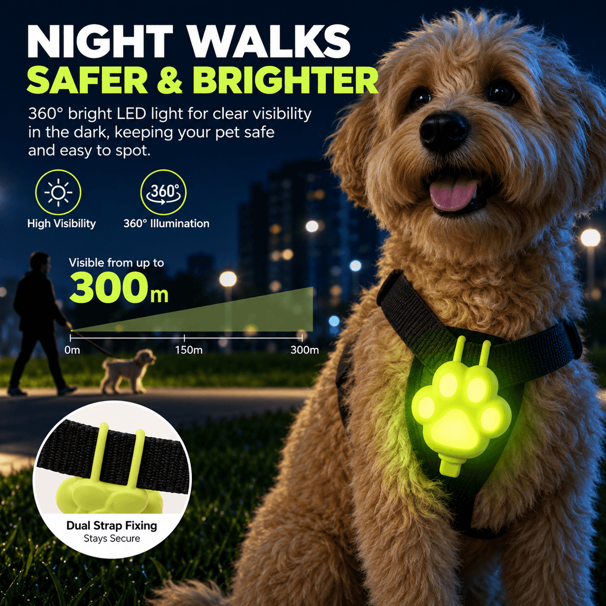 Dog on a night walk wearing the glowing paw collar light on its harness, with visibility from up to 300 m.
