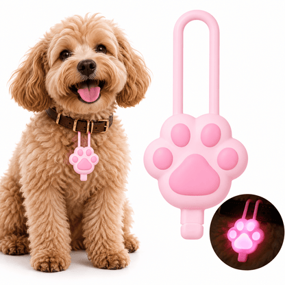 Pink rechargeable paw collar light shown large beside a curly poodle wearing it on a brown collar, with a glowing inset.