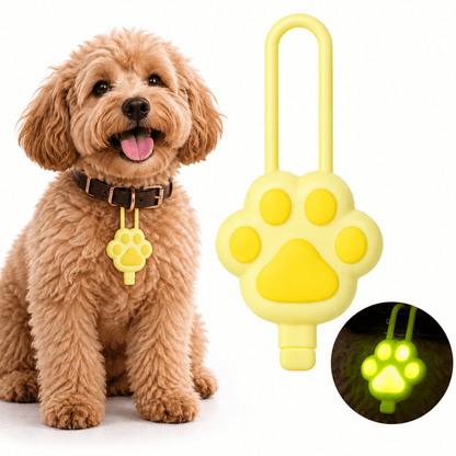 Yellow rechargeable paw collar light shown large beside a curly poodle wearing it on a brown collar, with a glowing inset.