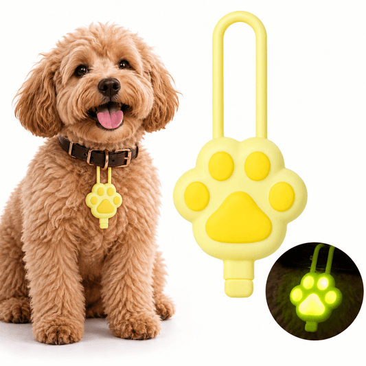 Yellow rechargeable paw collar light shown large beside a curly poodle wearing it on a brown collar, with a glowing inset.