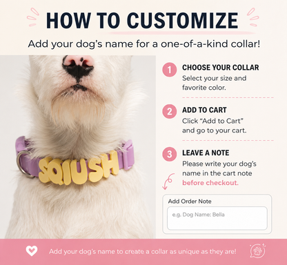 How to customize the collar in three steps: choose your size and color, add to cart, then write your dog's name in the cart note before checkout