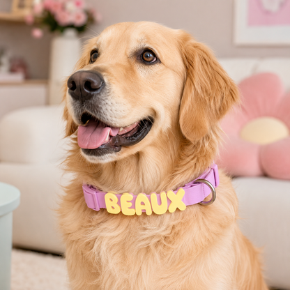 Golden Retriever wearing the lavender pink waterproof collar with yellow bubble letters spelling Beaux