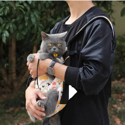 British Shorthair cat riding in a patterned carrier held against the wearer's body outdoors.