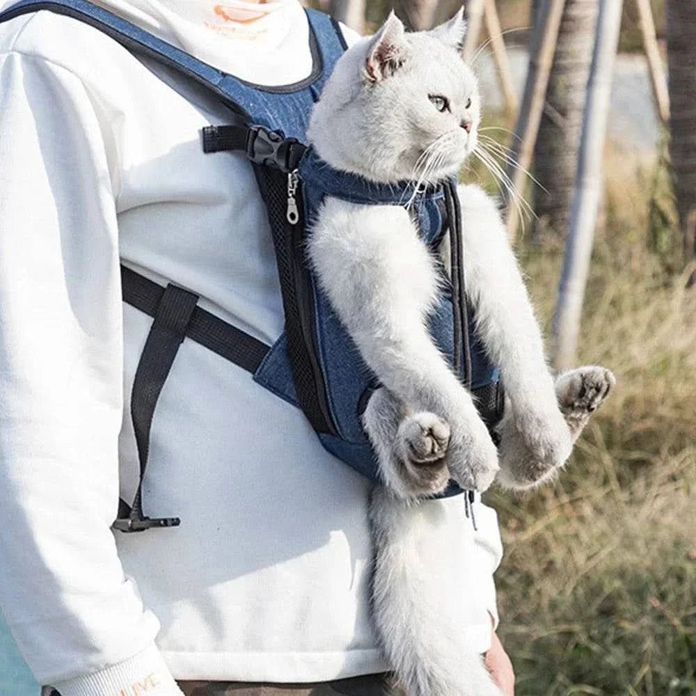 White cat riding in the blue mesh carrier on the wearer's chest with its front paws hanging over the edge.