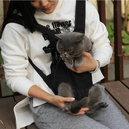British Shorthair cat sitting in the black mesh carrier while the wearer sits down.