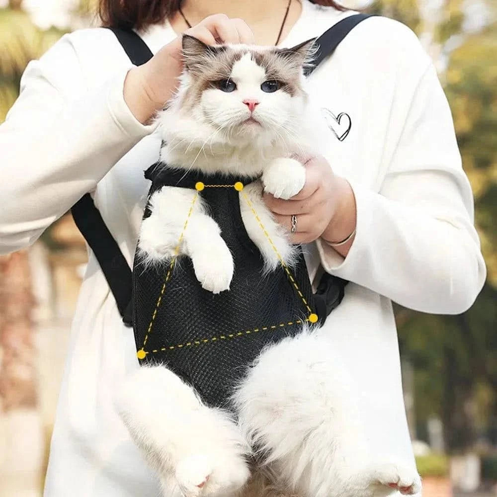 Ragdoll cat held in the black mesh carrier on the wearer's chest with a hand steadying a front paw.