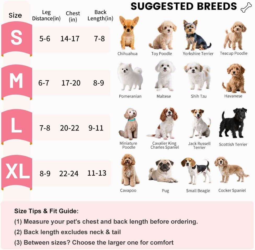 Size chart listing leg distance, chest and back length for each size alongside the breeds each one suits, from chihuahua up to cocker spaniel.