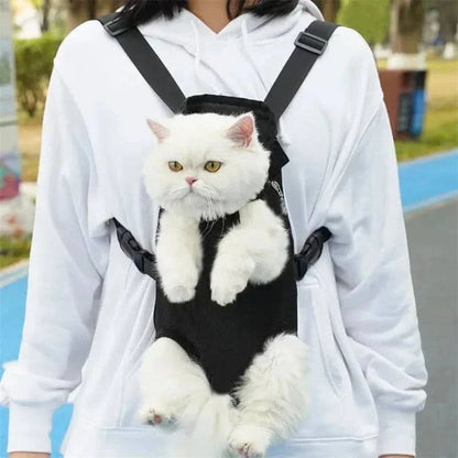 White cat riding on the wearer's chest in the black mesh carrier with its front legs through the openings.