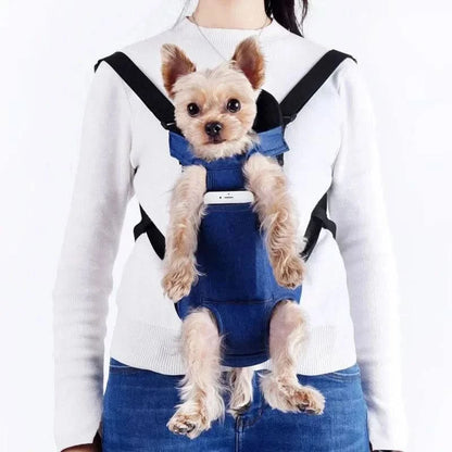 Yorkshire terrier riding on the wearer's chest in the dark blue mesh carrier with all four legs out.