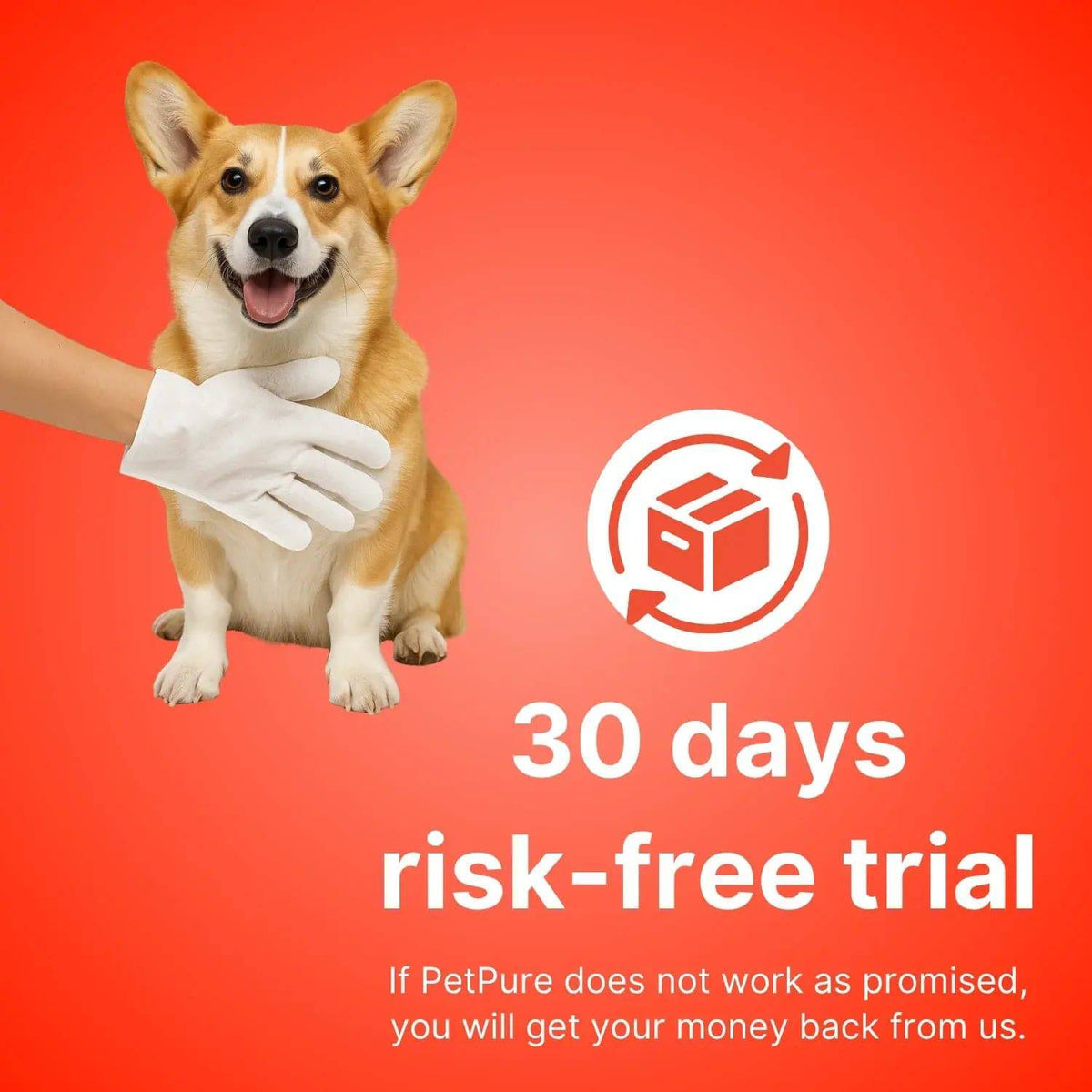 Corgi being wiped with the glove beside a thirty day risk-free trial badge.