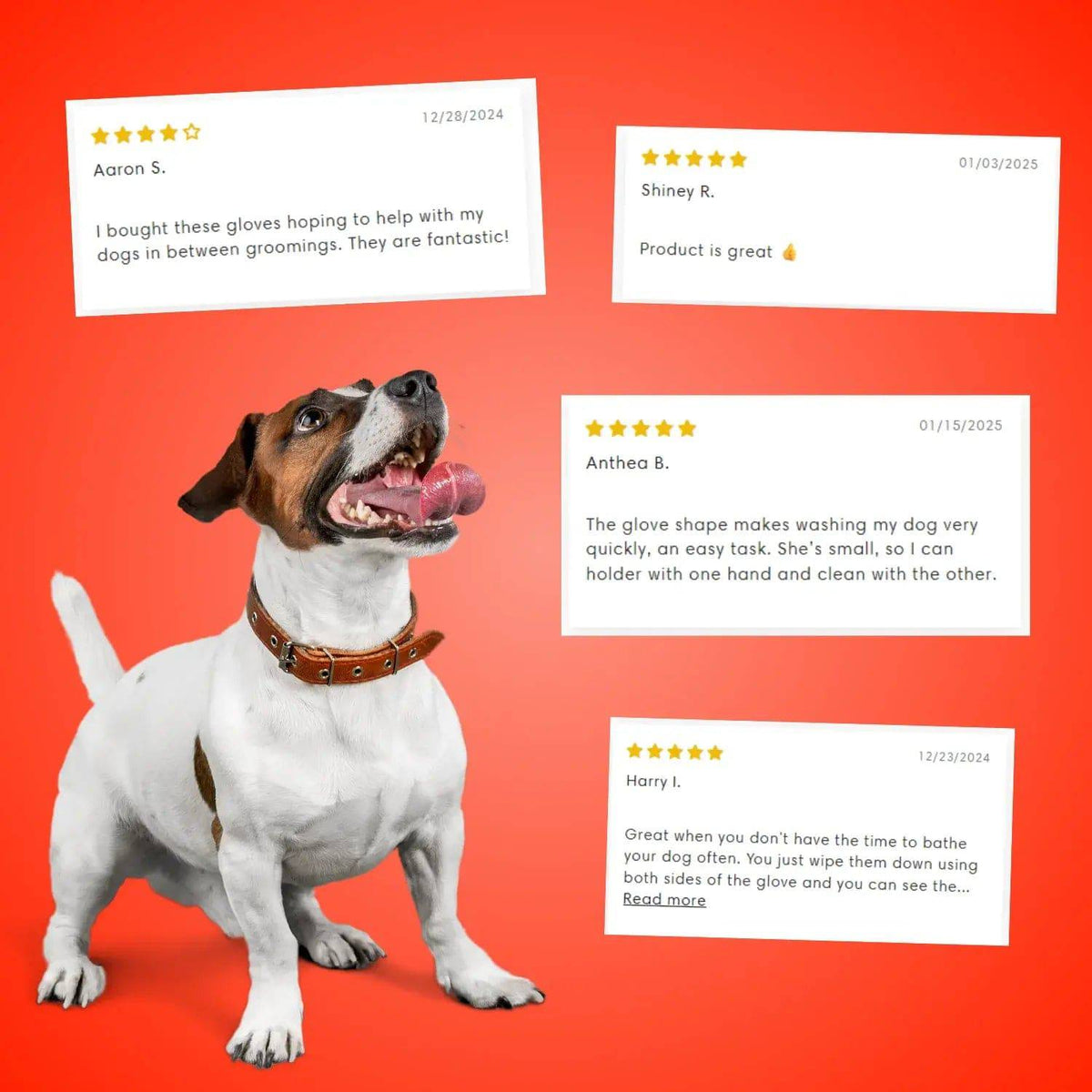 Jack russell terrier beside four customer review cards on a red background.