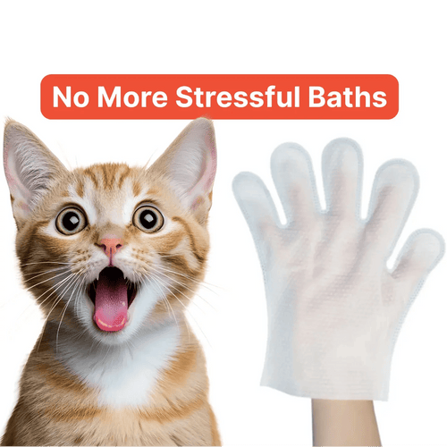 Wide-eyed ginger cat beside a hand wearing the white pet glove wipe, headed No More Stressful Baths.