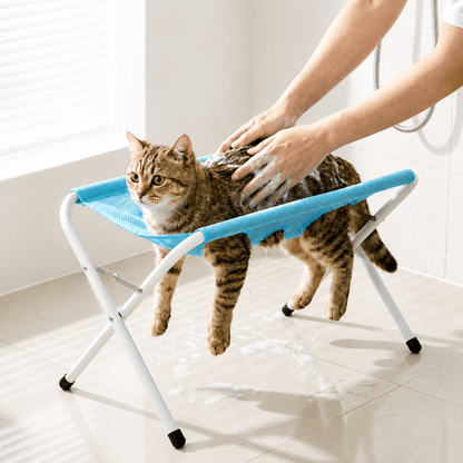 Tabby cat standing calmly on the blue mesh grooming stand while being shampooed with both hands