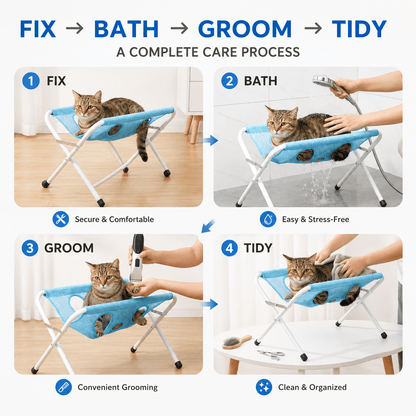 Four step care process infographic: fix, bath, groom and tidy, with a tabby cat on the blue grooming stand