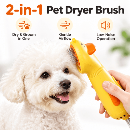Infographic of the 2 in 1 pet hair dryer brush on a white dog, showing dry and groom in one, gentle airflow and low-noise operation.