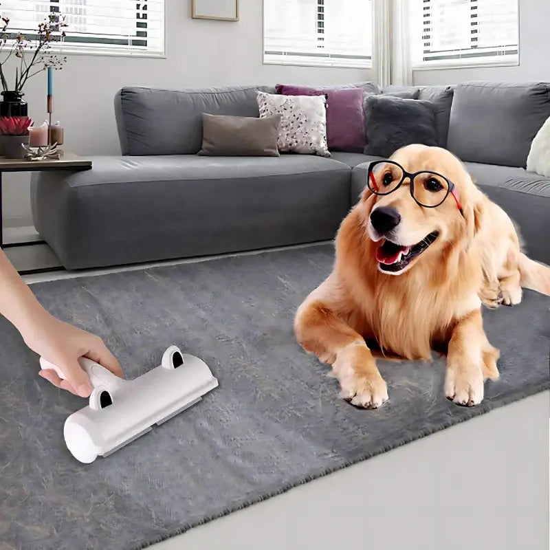 White pet hair remover brush rolled across a gray rug with a golden retriever lying beside it.