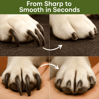 Dog nails shown sharp before and rounded smooth after using the Noblias pet nail clippers and grinder.