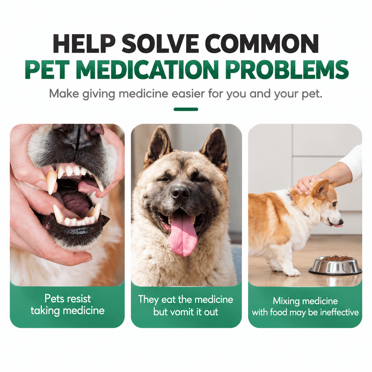 Common pet medication problems the pill dispenser syringe helps with: pets resisting, spitting out pills and refusing medicated food.