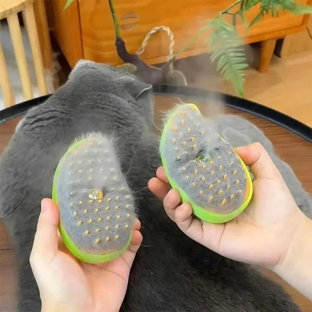 Two views of the pet steam brush head held over a gray cat, one showing collected fur on the silicone teeth.