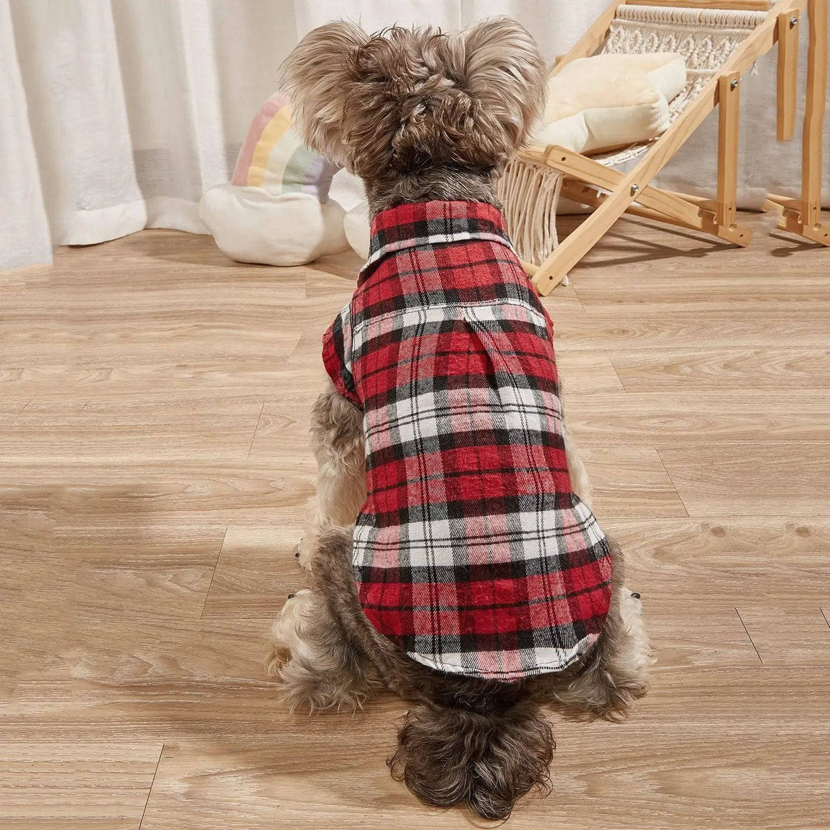 Back view of a miniature schnauzer wearing the red plaid flannel dog shirt on a wood floor.