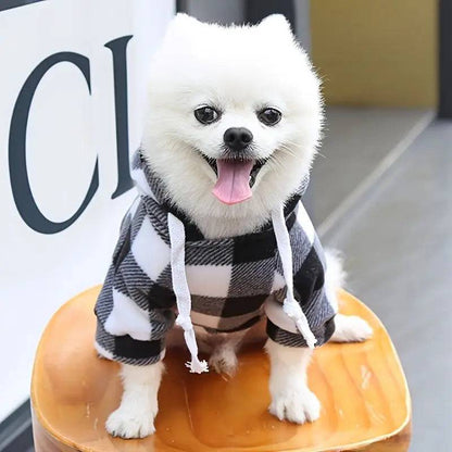 White Pomeranian sitting on a stool in the black and white plaid fleece dog hoodie with the drawstring hood up.