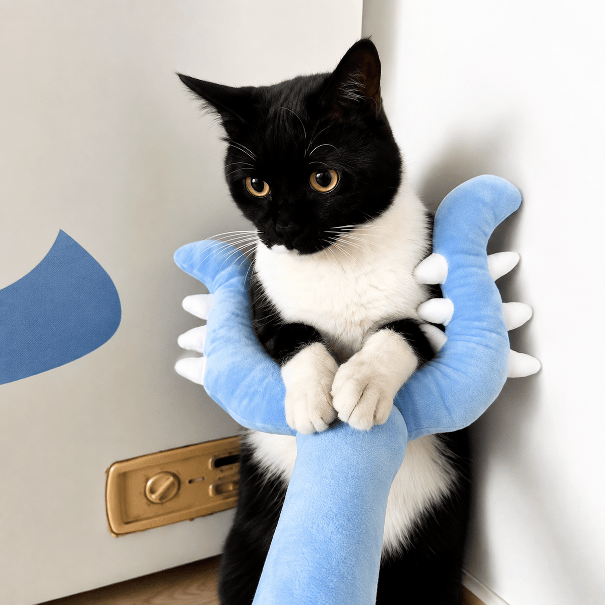 A black and white cat sitting upright holding the blue plush wand against its chest with both front paws.