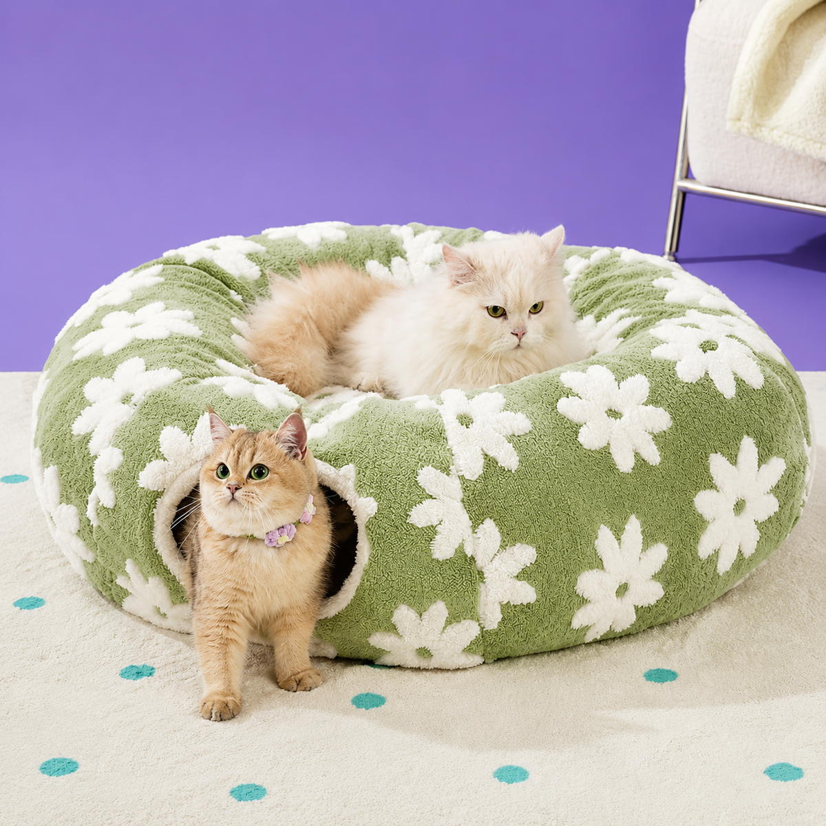 Green plush cat tunnel bed with a white daisy pattern, two cats on the rim and a ginger cat beside the tunnel opening