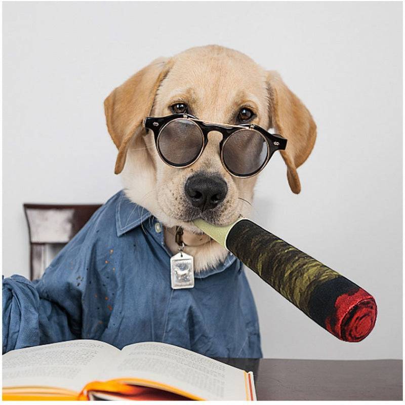 Labrador wearing glasses and a shirt holding the green Noblias plush cigar dog toy in its mouth.