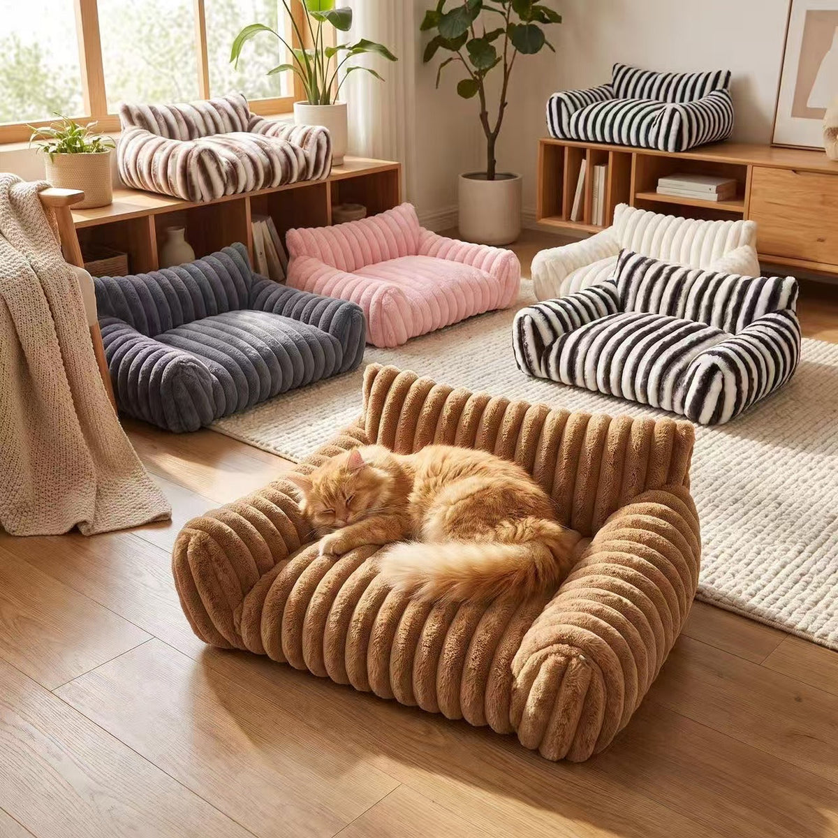 Several sofa beds arranged in a bright room with a ginger cat curled inside a tan one on the floor.