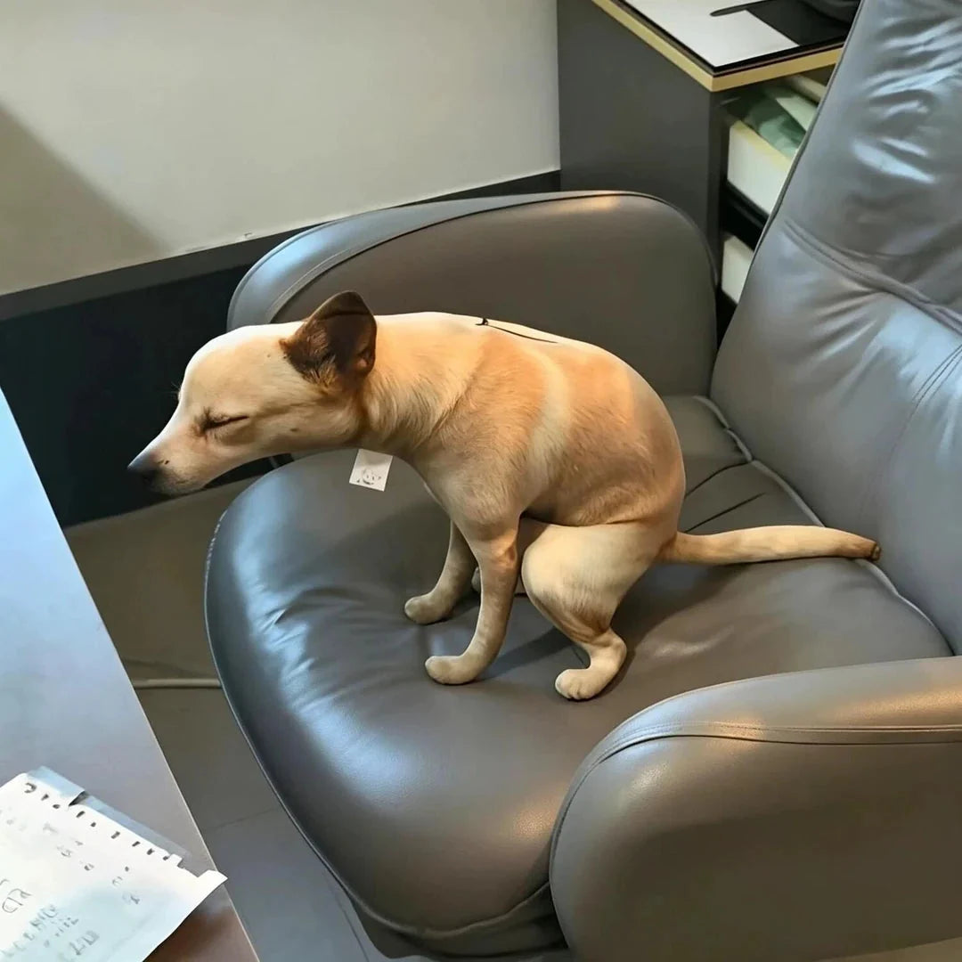 Funny pooping dog plush toy perched on a gray leather office chair.