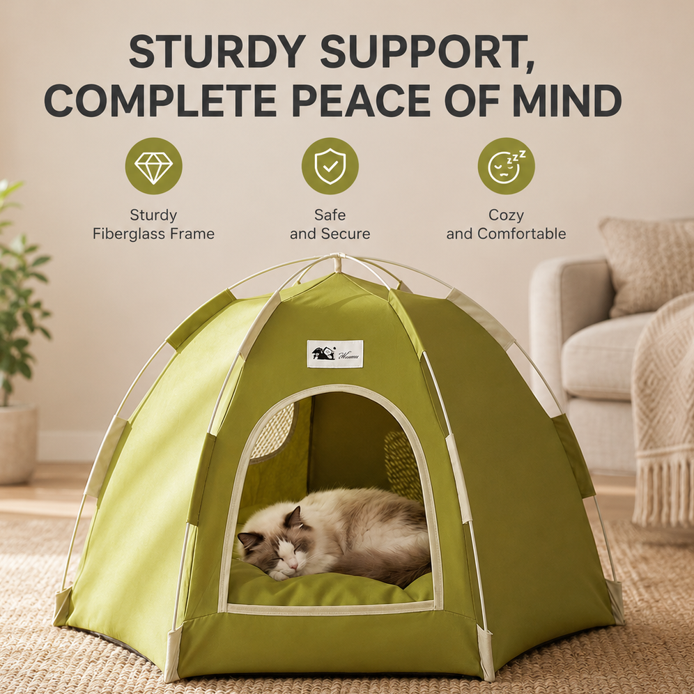Cat lying in the olive green pop up cat tent bed, captioned sturdy fiberglass frame, safe and secure and cozy and comfortable.
