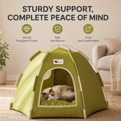 Cat lying in the olive green pop up cat tent bed, captioned sturdy fiberglass frame, safe and secure and cozy and comfortable.