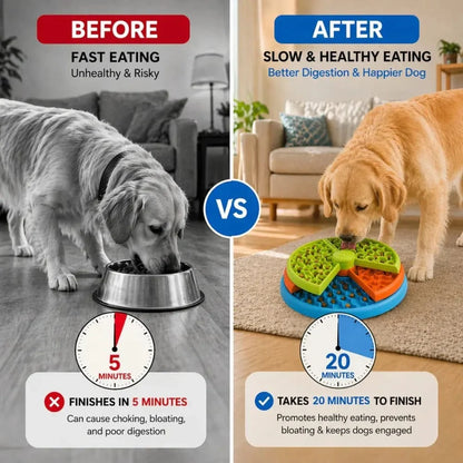 Before and after of a dog finishing a steel bowl in minutes versus taking longer with the puzzle slow feeder dog bowl.