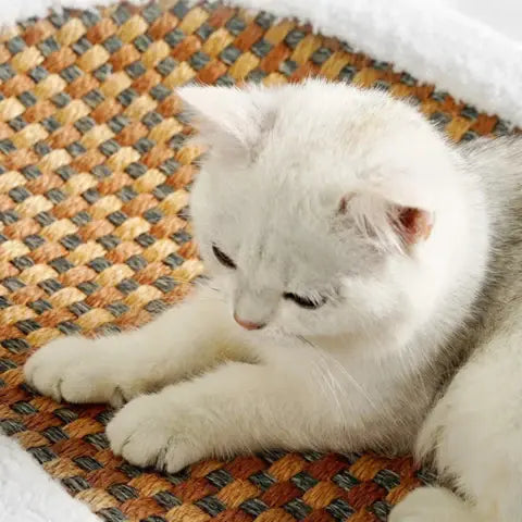 Close-up of a white cat resting its paws on the woven rattan center of the cat scratcher bed.
