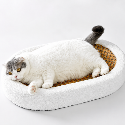 Scottish fold cat lying in the oval rattan cat scratcher bed with its white plush rim and woven rattan center.