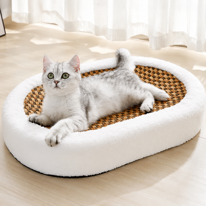 Silver tabby resting in the rattan cat scratcher bed on a wood floor beside sheer curtains.