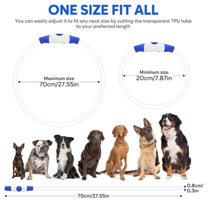 LED dog collar sizing panel showing a maximum of 70 cm and a minimum of 20 cm above seven dog breeds of different sizes.