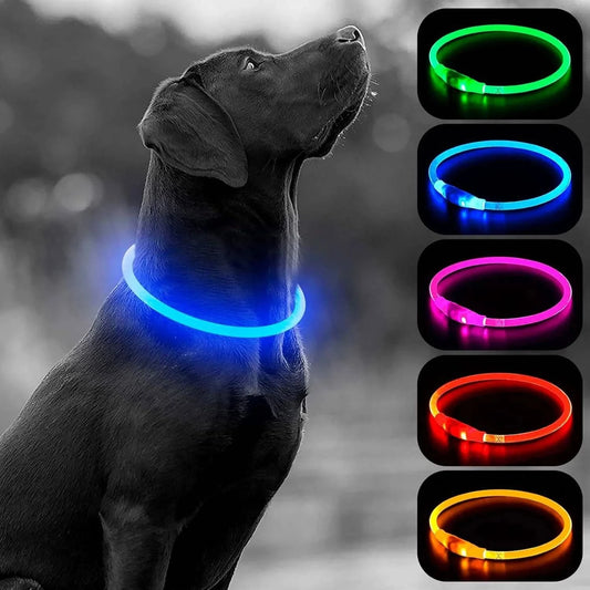 Black labrador wearing the blue glowing LED dog collar beside swatches of the collar in five glow colors.