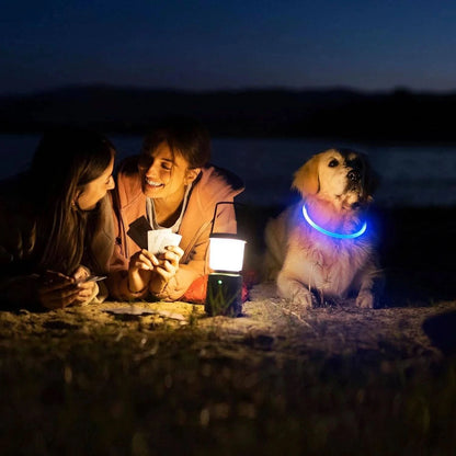 Golden retriever in the blue glowing LED dog collar beside two people camping at night.