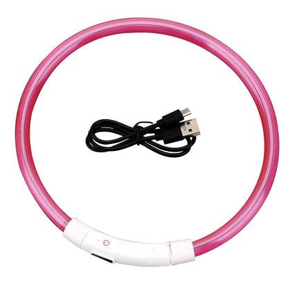 Pink LED dog collar coiled beside its charging cable on a white background.